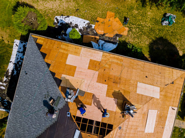 Best Roof Gutter Cleaning  in Christiansburg, VA