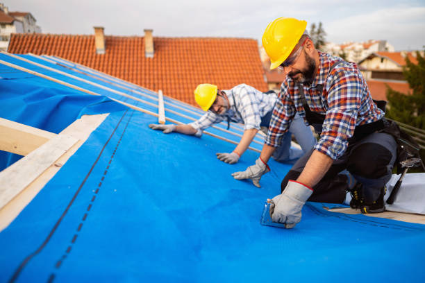 Best Roof Waterproofing Services  in Christiansburg, VA